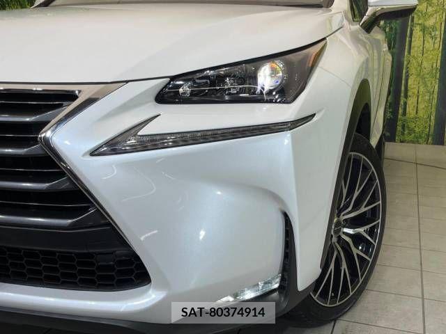Lexus NX 2016-06 236075-12