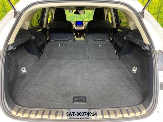 Lexus NX 2016-06 236075-10