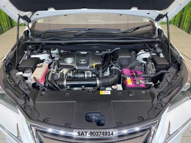 Lexus NX 2016-06 236075-18
