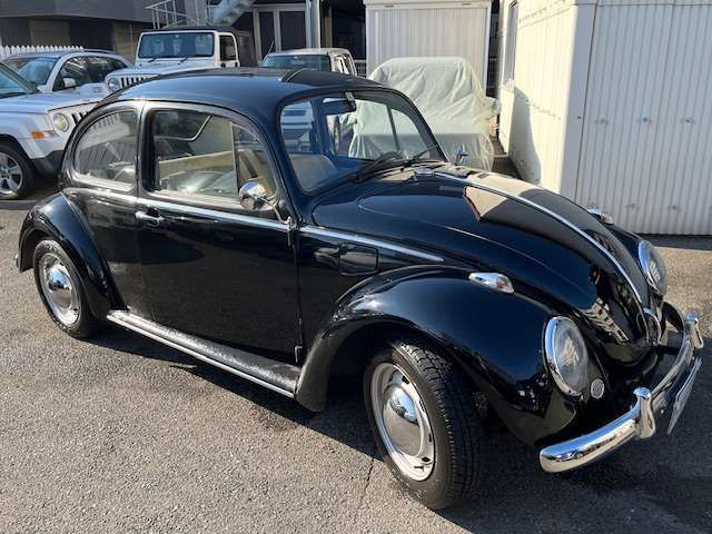 VolksWagen BEETLE 1997-10 181741-16