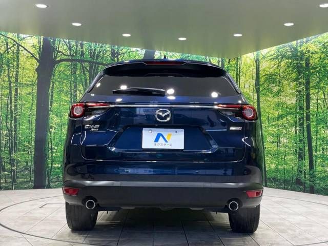Mazda CX-8 2018-09 185440-16