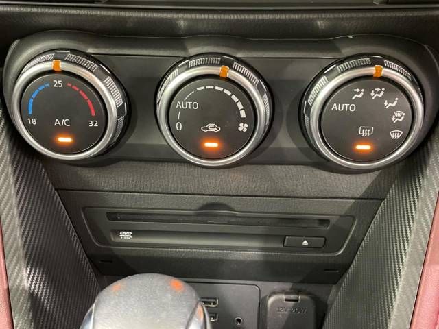 Mazda CX-3 2016-01 11172-8