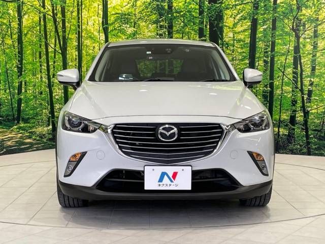 Mazda CX-3 2016-01 11172-14