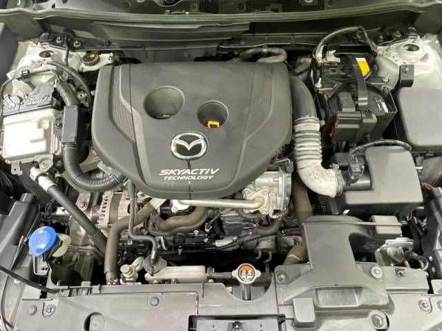 Mazda CX-3 2016-01 11172-18