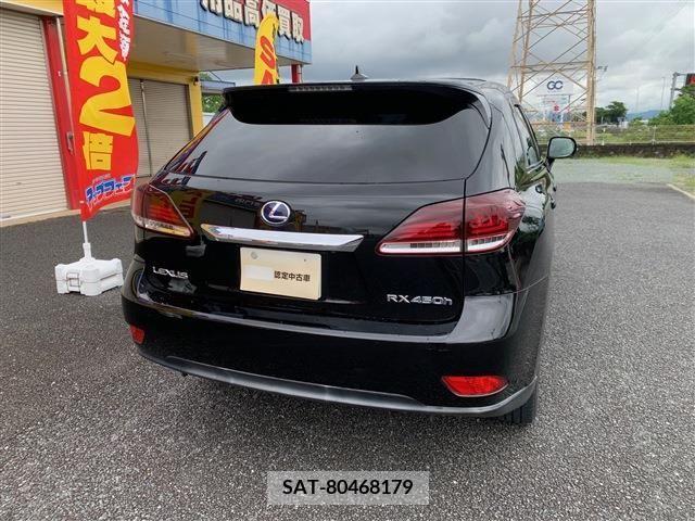 Lexus RX 2009-12 388247-6