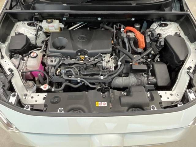 Toyota RAV4 2019-06 19007-18