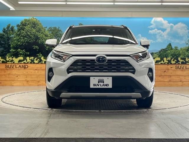 Toyota RAV4 2019-06 19007-14