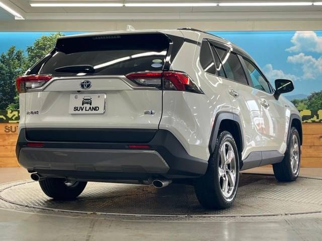 Toyota RAV4 2019-06 19007-17