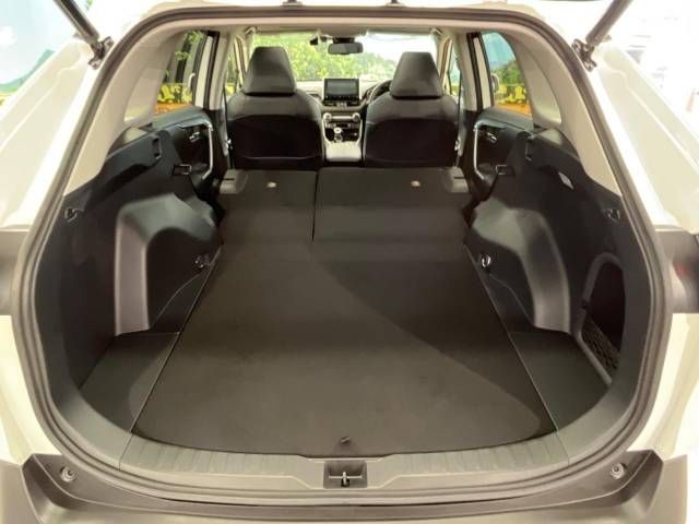 Toyota RAV4 2019-06 19007-10