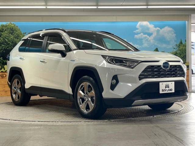 Toyota RAV4 2019-06 19007-16