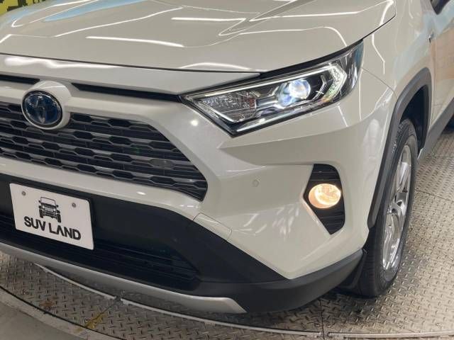 Toyota RAV4 2019-06 19007-12