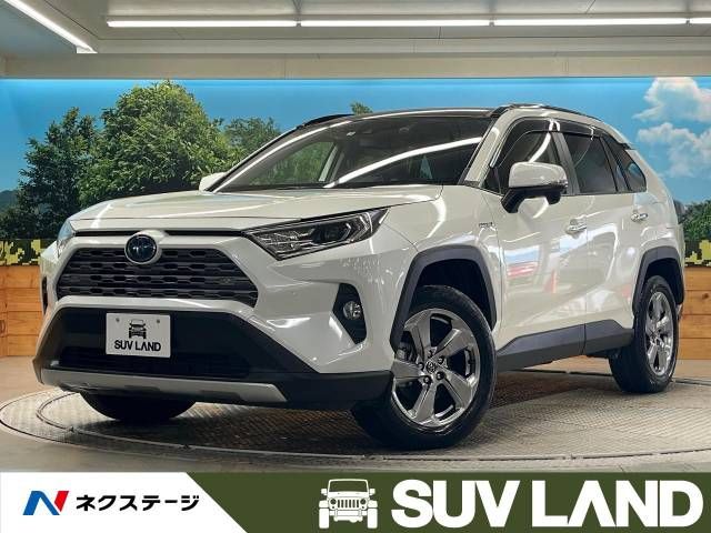 Toyota RAV4 2019-06 19007-0