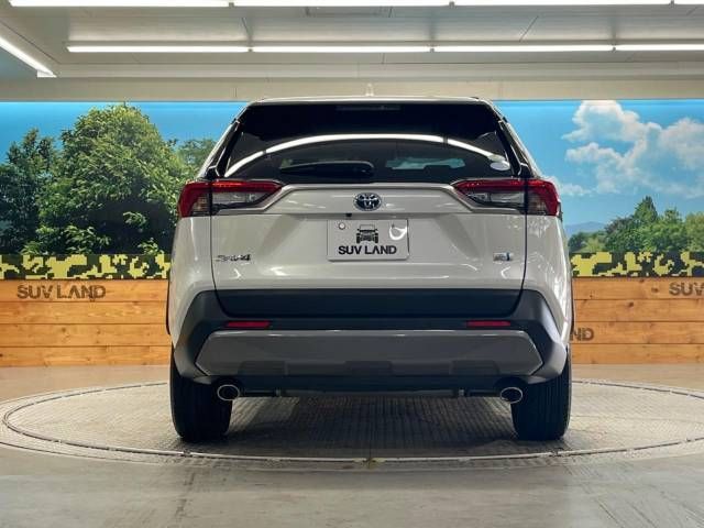 Toyota RAV4 2019-06 19007-15