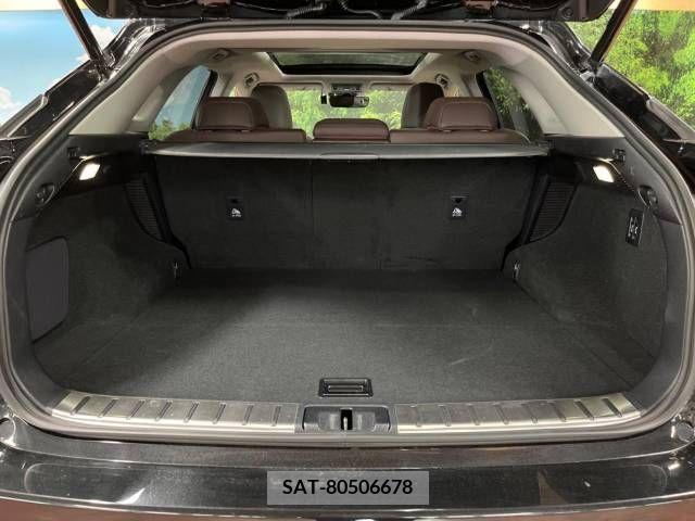 Lexus RX 2020-03 275843-10