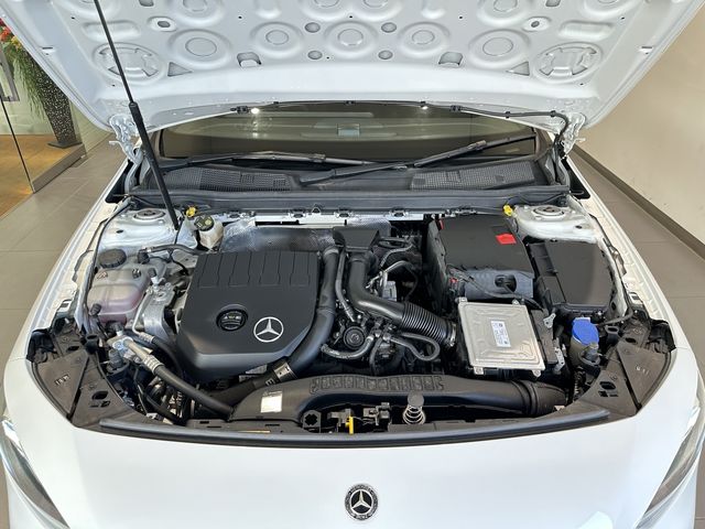 Mercedes Benz A-CLASS 2020-02 18043-3