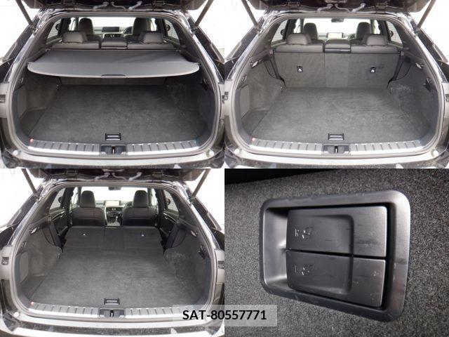 Lexus RX 2018-09 388178-12