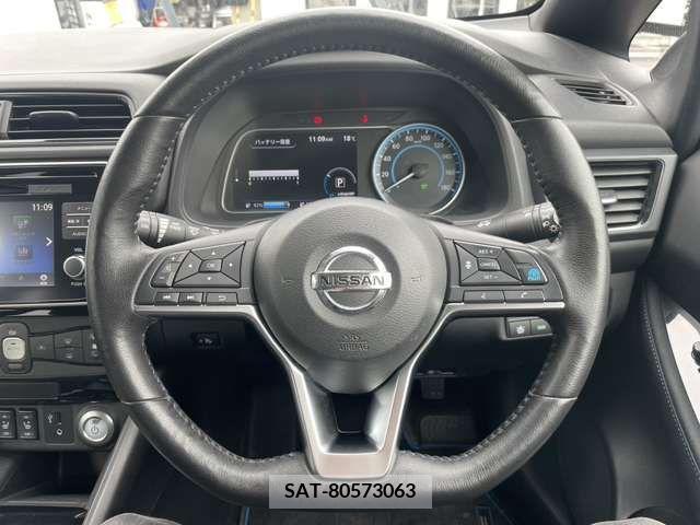 Nissan LEAF 2019-01 232495-11