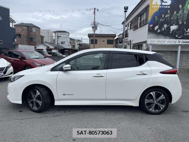 Nissan LEAF 2019-01 232495-4