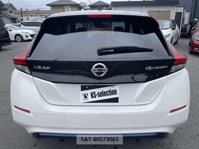 Nissan LEAF 2019-01 232495-3
