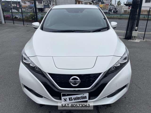 Nissan LEAF 2019-01 232495-2