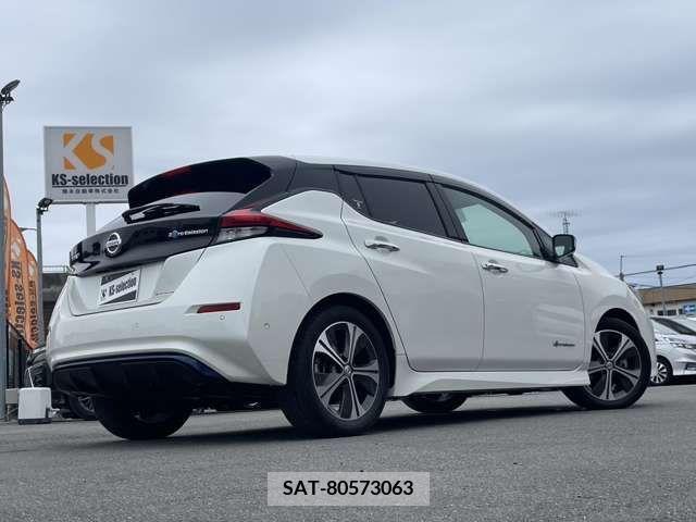 Nissan LEAF 2019-01 232495-1