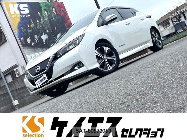 Nissan LEAF 2019-01 232495-0