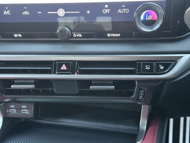 Lexus RX 2023-02 19951-14