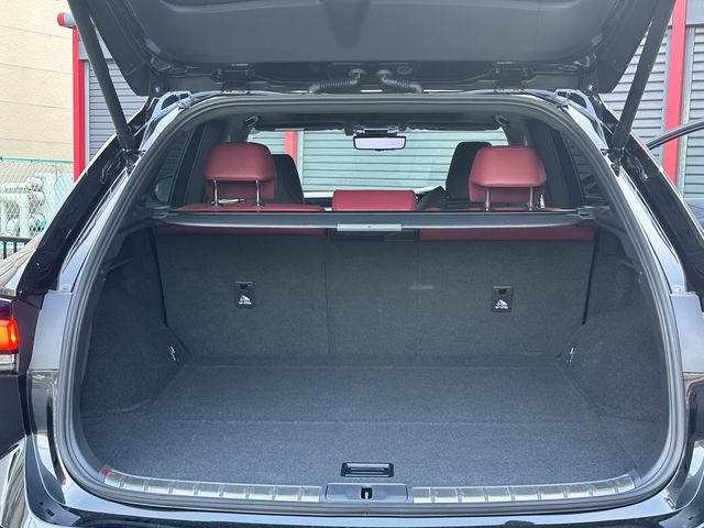 Lexus RX 2023-02 19951-20