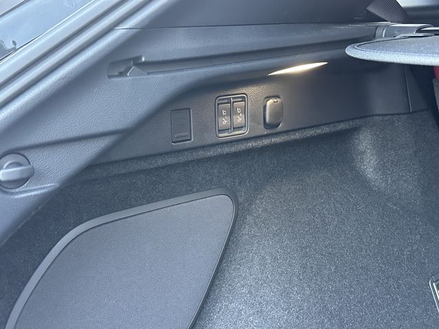 Lexus RX 2023-02 19951-21