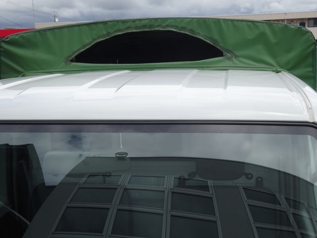 Suzuki CARRY TRUCK 2018-03 6228-17