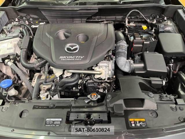 Mazda CX-3 2018-06 295457-18