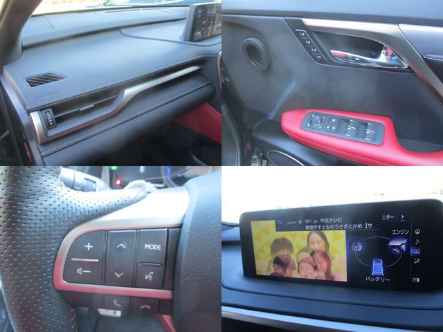 Lexus RX 2020-11 191031-26
