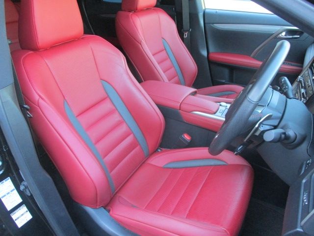 Lexus RX 2020-11 191031-7