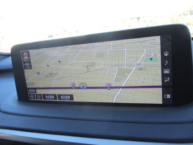 Lexus RX 2020-11 191031-24