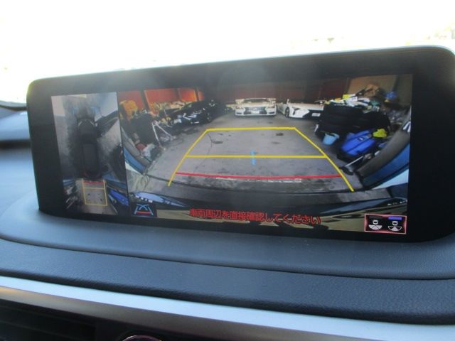 Lexus RX 2020-11 191031-25