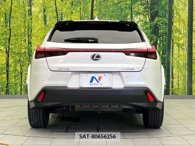 Lexus UX 2021-09 391954-15