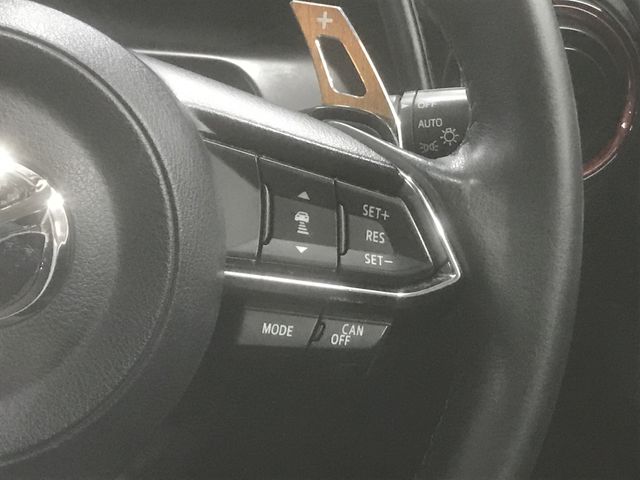 Mazda CX-3 2017-01 27171-20