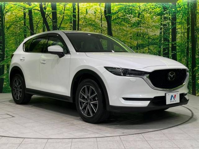 Mazda CX-5 2017-06 194512-16