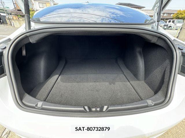 Tesla MODEL 3 2021-06 394654-9