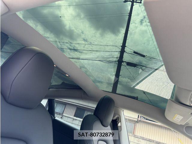 Tesla MODEL 3 2021-06 394654-5