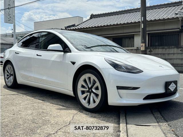 Tesla MODEL 3 2021-06 394654-14