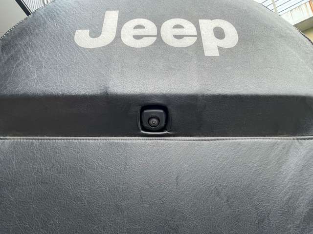 Jeep WRANGLER 2019-03 195924-13