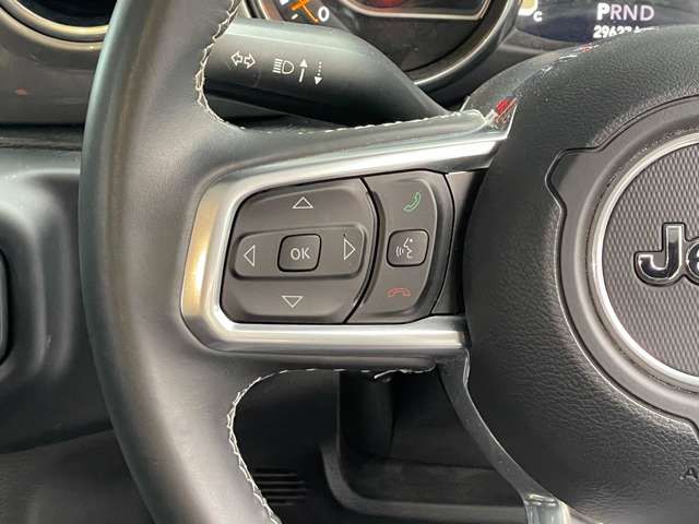 Jeep WRANGLER 2019-03 195924-14