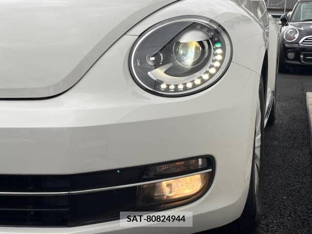 VolksWagen THE BEETLE 2013-01 395106-13