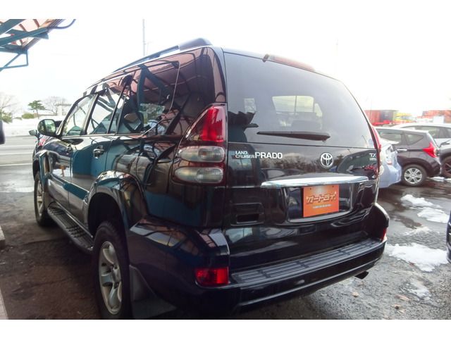 Toyota PRADO 2006-04 9694-6