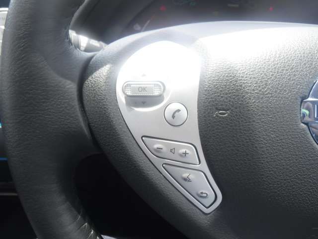 Nissan LEAF 2016-05 7860-7