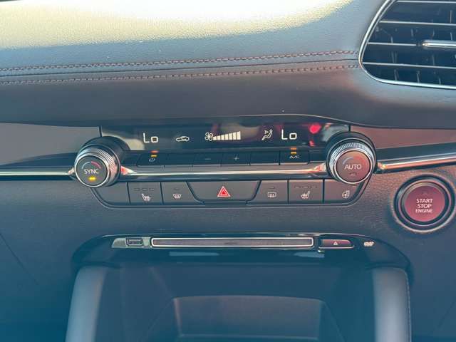 Mazda MAZDA3 2019-08 184236-18