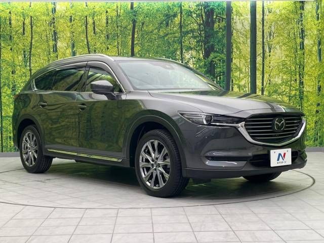 Mazda CX-8 2019-12 19201-17