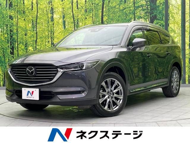 Mazda CX-8 2019-12 19201-0
