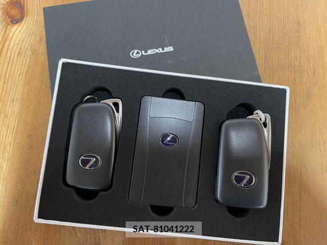 Lexus NX 2018-03 388113-16